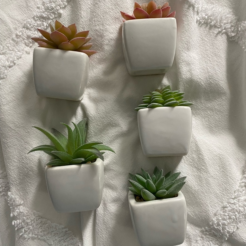 Mini Artificial Succulent Plants (5)